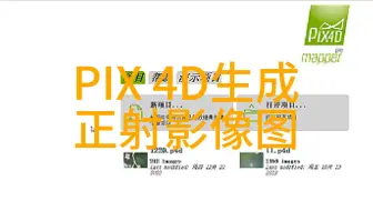 Pix4D生产正射影像图绘制地形图