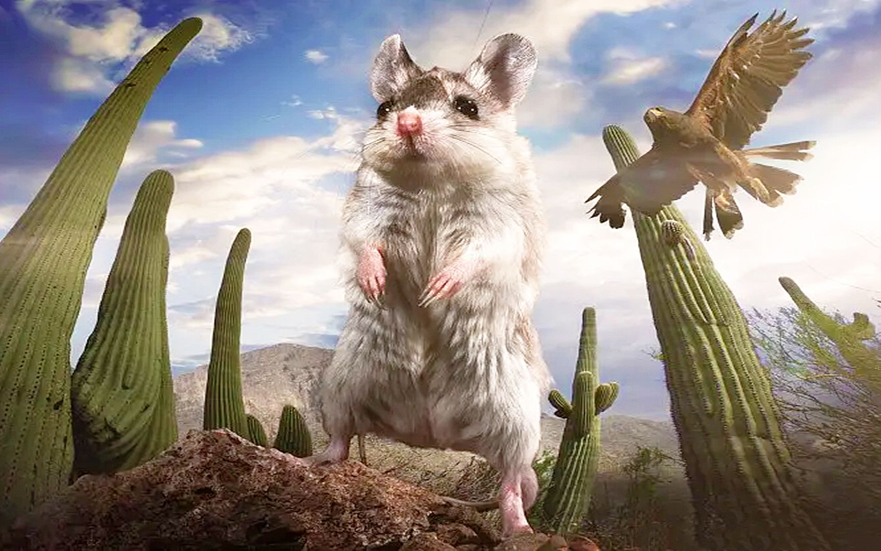 小老鼠大战毒蝎子,成为顶天立地的小老鼠!_哔哩哔哩_bilibili