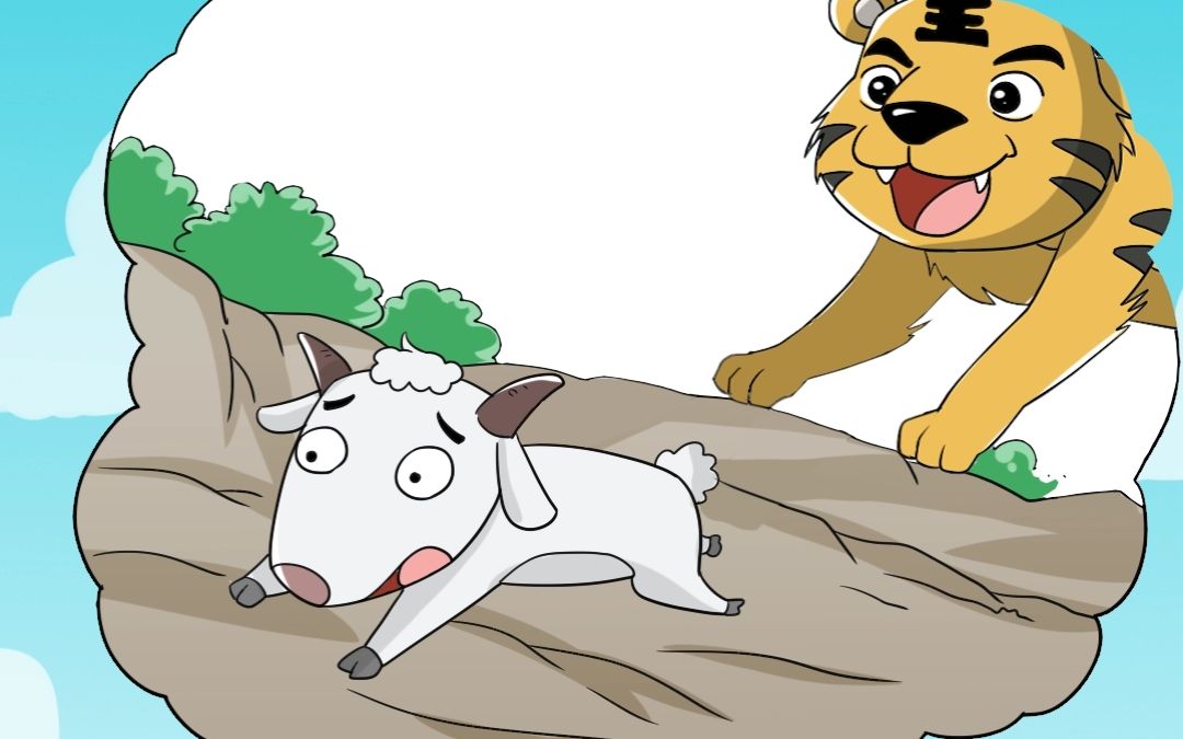 老虎希望有一只羊,可以从后面扑向它!