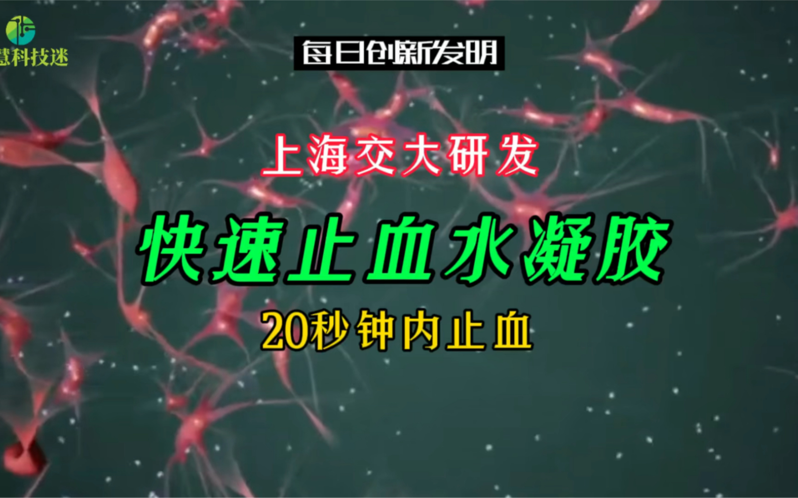 点赞上海交通大学!上海交大研发快速止血水凝胶,20秒钟内止血哔哩哔哩bilibili