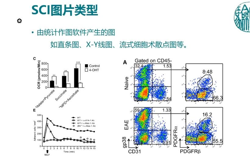 【生物科研视频教程】SCI写作构思到成文(sy万事屋)侵删哔哩哔哩bilibili