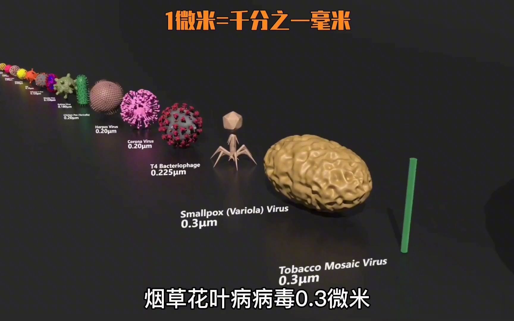 你知道不同病毒的体积有多大吗?新型冠状病毒排第几吗?哔哩哔哩bilibili