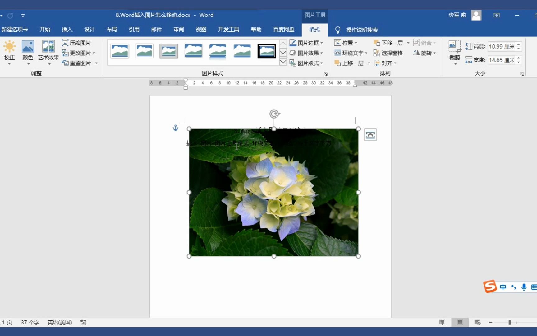 word插入图片怎么移动