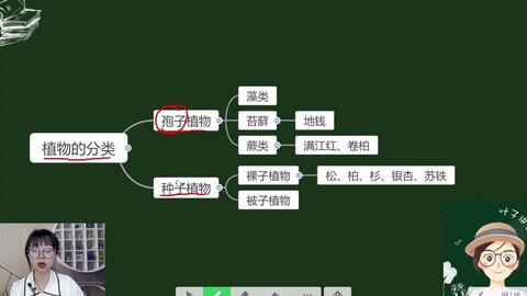 叶子讲生物第22期植物的分类 哔哩哔哩