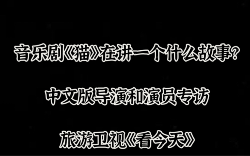 音乐剧《猫》到底在讲一个什么故事?中方导演和演员的古早访谈|旅游卫视《看今天》哔哩哔哩bilibili