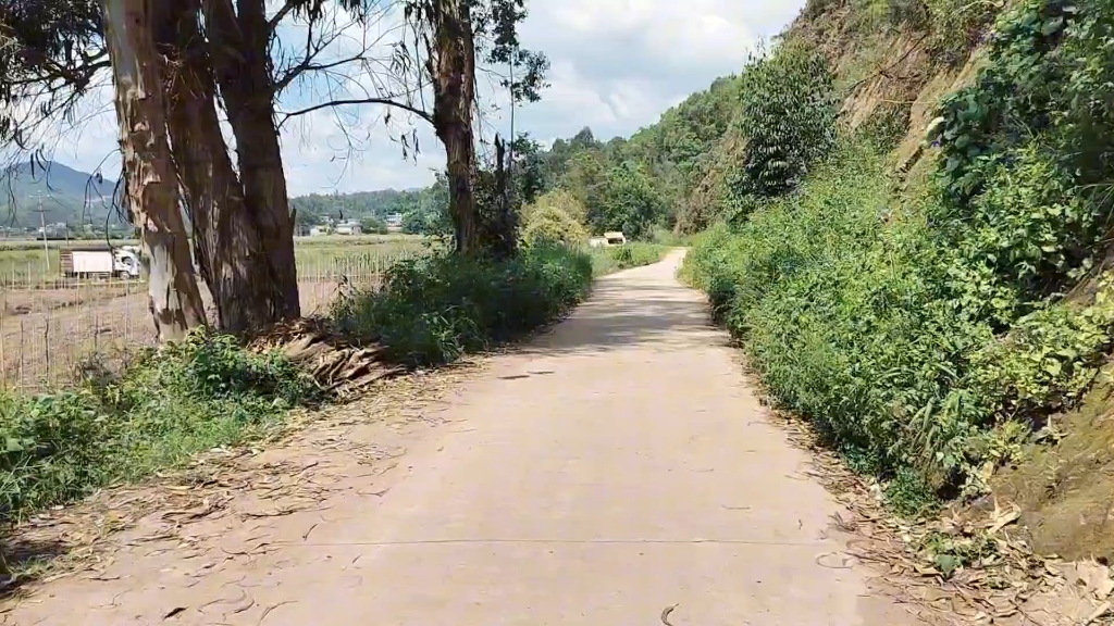 江湖阿芮跑全国外卖,昆明~大理,连汪坝胡家庄~南华县沙桥路段哔哩哔哩bilibili