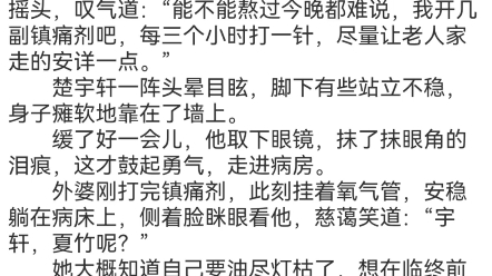 [图]《娇妻火辣辣，帝少放心宠》楚宇轩赵雅楠小说包结局分享冬至这天，江城下了一场雪。医院的走廊里，满脸憔悴的楚宇轩不急