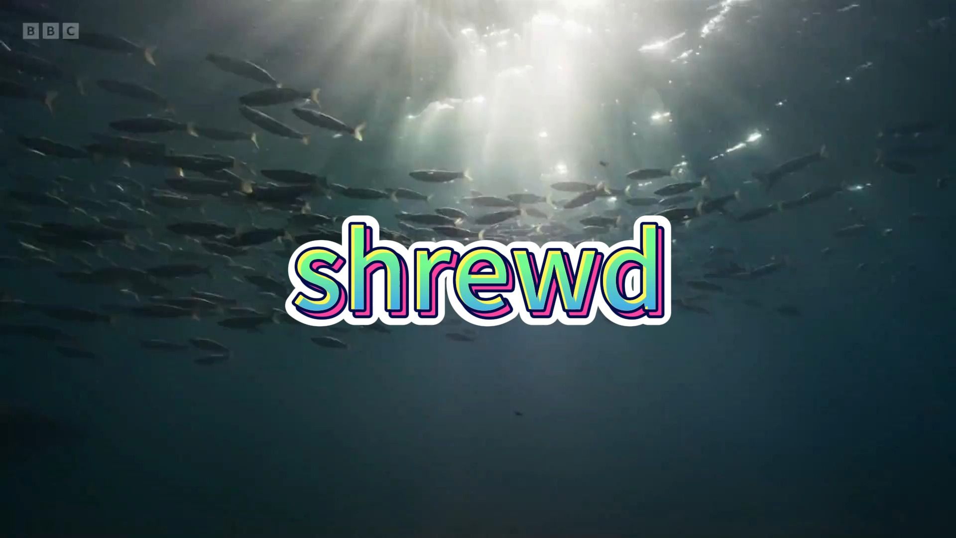 考研单词shrewd哔哩哔哩bilibili