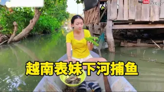 Download Video: 越南表妹独自划着小船来小河里收地笼，今天鱼获也有了，还顺了两条丝瓜，大家可以来表妹家吃鱼咯