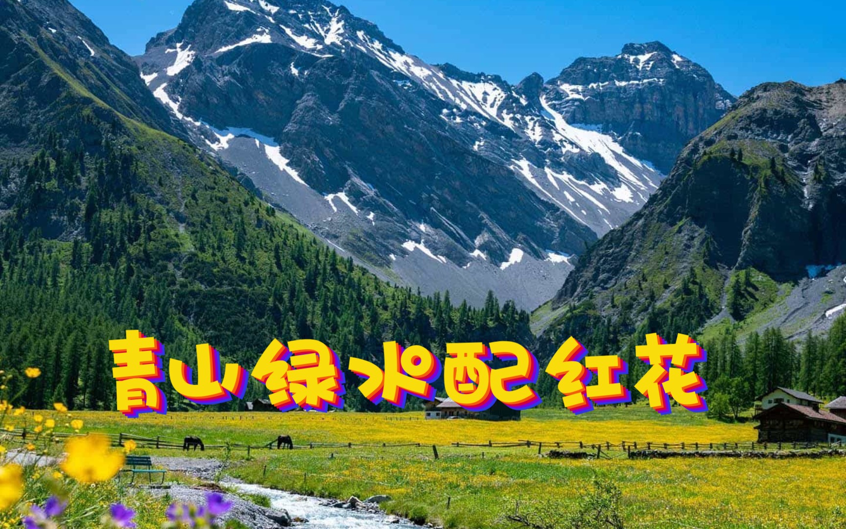 青山绿水配红花