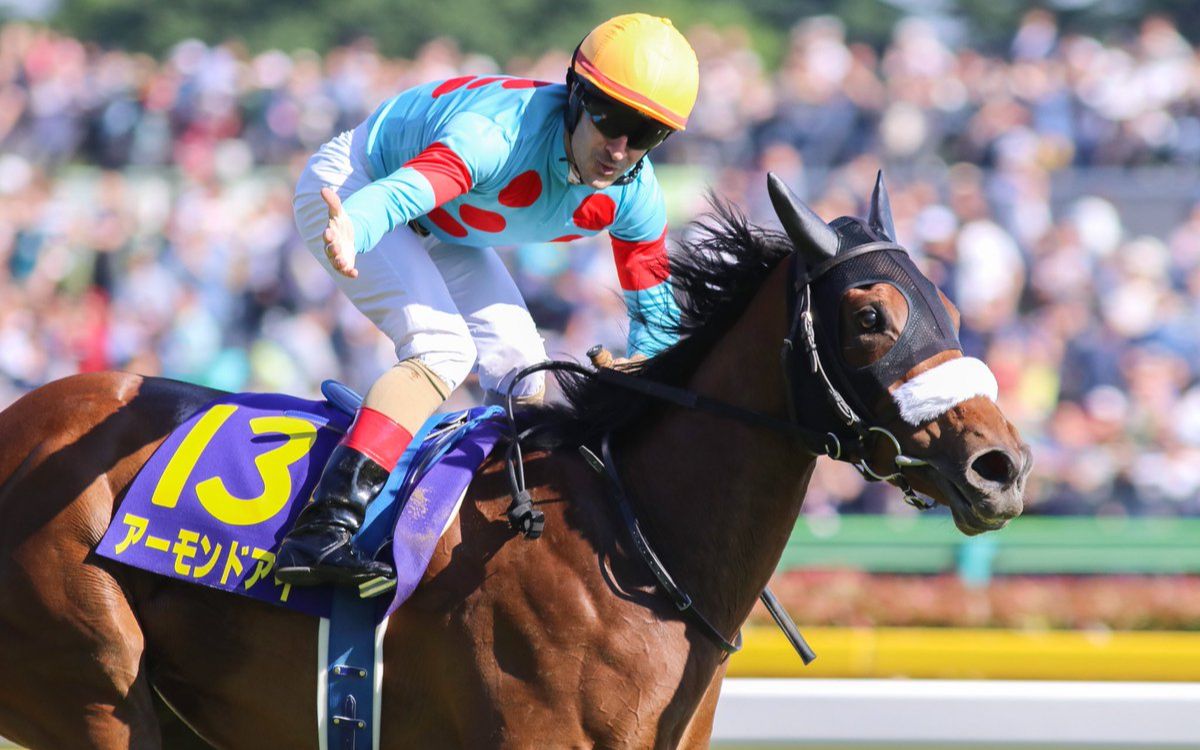 【关西台/熟肉】2018/05/20 日本橡树大赛(gi)