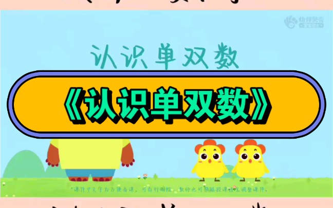 幼儿园公开课|中班数学公开课《认识单双数》哔哩哔哩bilibili