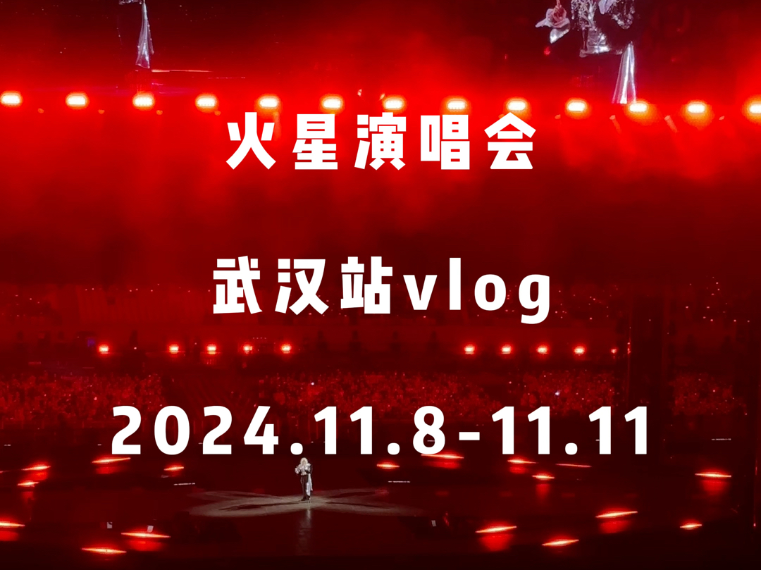 2024华晨宇火星演唱会武汉站vlog哔哩哔哩bilibili