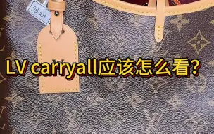 Download Video: LV carryall应该怎么检查？