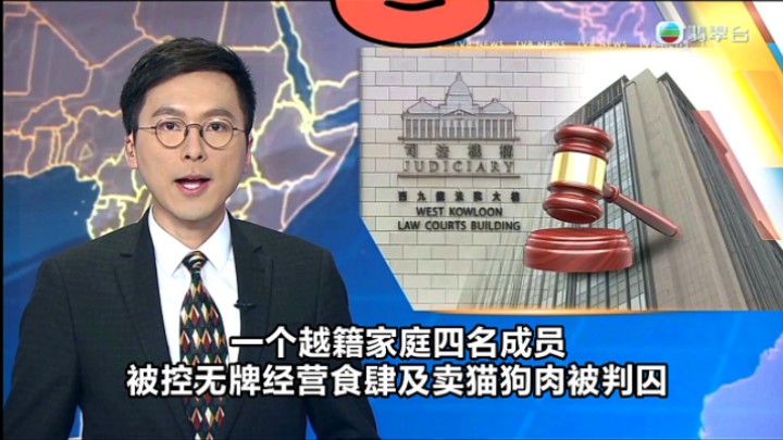 【TVB翡翠台】六点半新闻:一个越南籍家庭四名成员 被控无牌经营食肆及卖猫狗肉被判囚哔哩哔哩bilibili