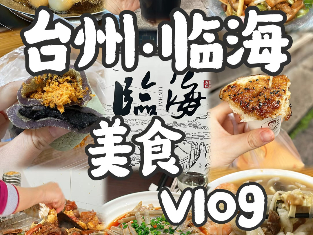 台州临海Vlog|糯叽叽天堂|碳水王国|临海好吃的也太多了!一天12顿不重样!紫阳街|蛋清羊尾|乌饭麻糍|麦虾|海苔饼|小海鲜|嵌糕|糖醋铁板..哔哩哔哩bilibili