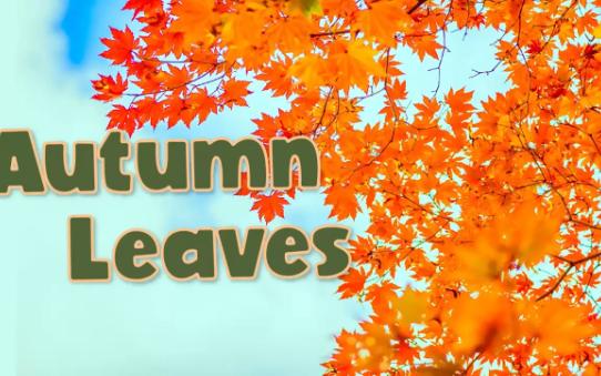 Autumn Leaves 秋日歌  英文儿歌哔哩哔哩bilibili