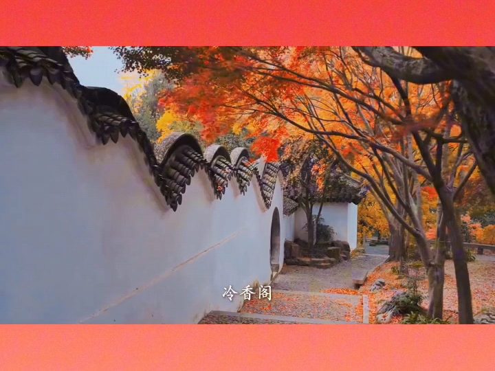 赴虎丘之秋，看云落剑池，古寺寻秋光。#滨湖教育#江苏滨湖工匠学院#产改#工会