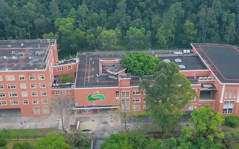 广州唯一的日本人学校,安保等级很高非常隐秘,在一片森林包裹之中