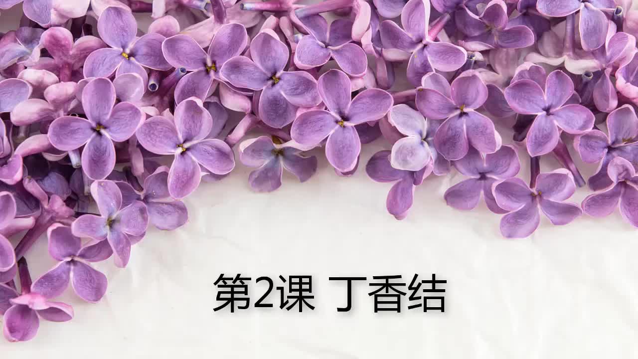 [图]2.丁香结（朗读视频）.mp4