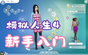 Download Video: 《模拟人生4》新手入门教程