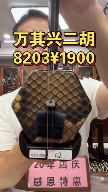 万其兴二胡8203黑檀专业演奏琴王钟林老师精选厂家直销