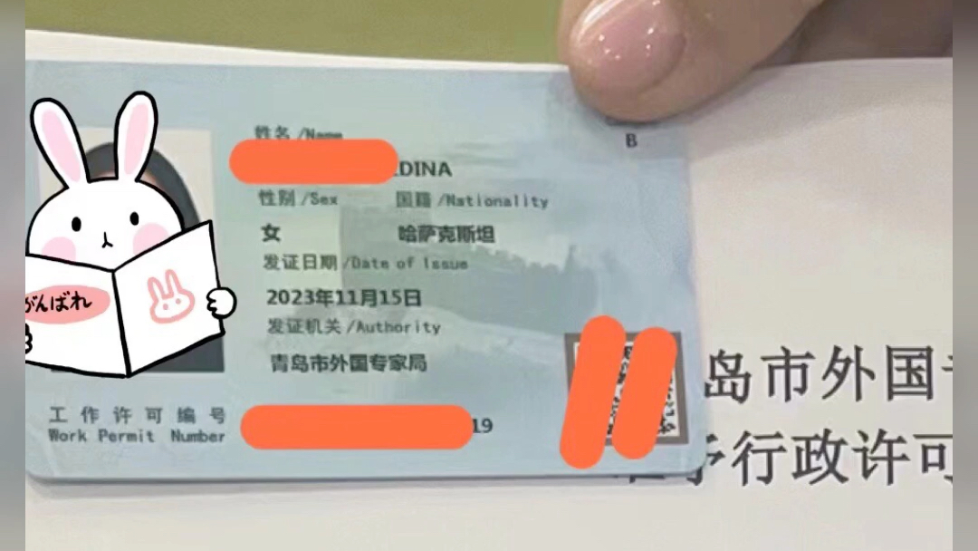 【外国人来华工作签证】up主探索中,欢迎收看求三连!