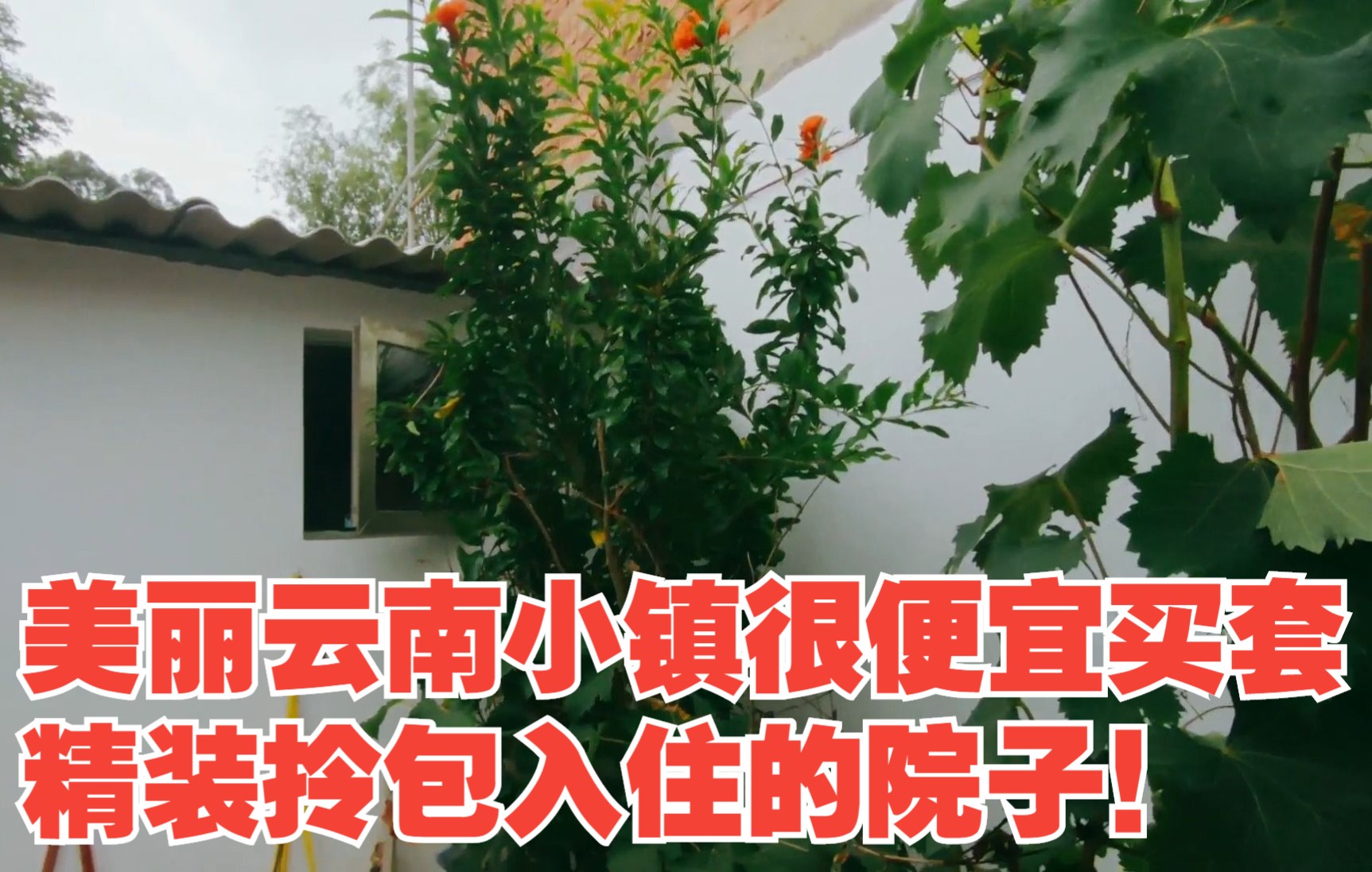 [图]美丽云南小镇很便宜买套精装拎包入住的院子！