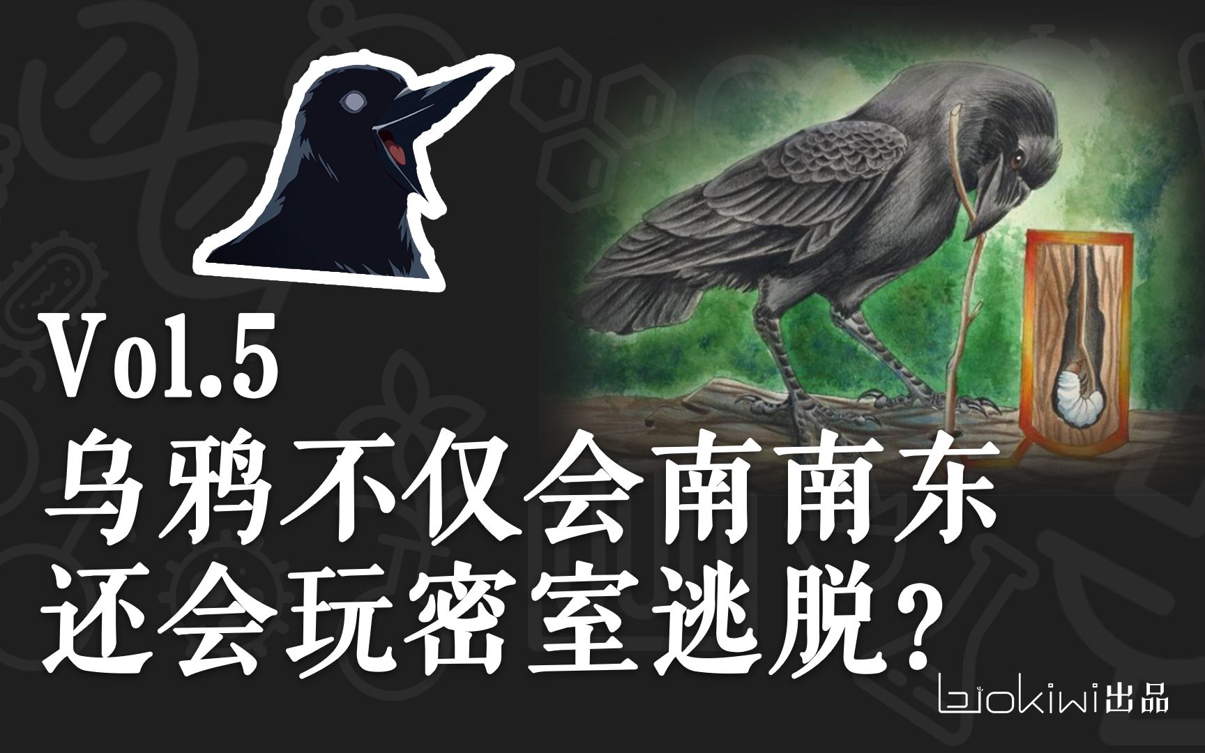 活动作品vol5乌鸦不仅会南南东还会玩密室逃脱