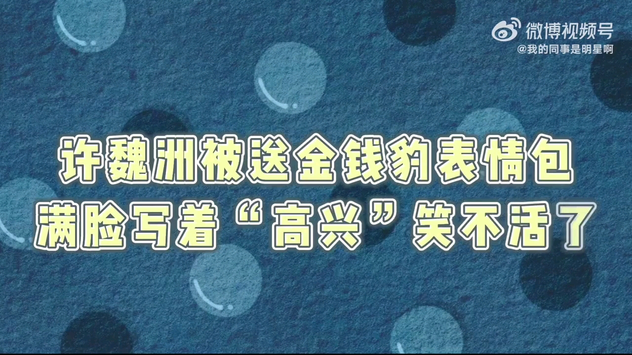 【许魏洲】被送金钱豹表情包的反应:这个朴实无华的礼物哔哩哔哩bilibili