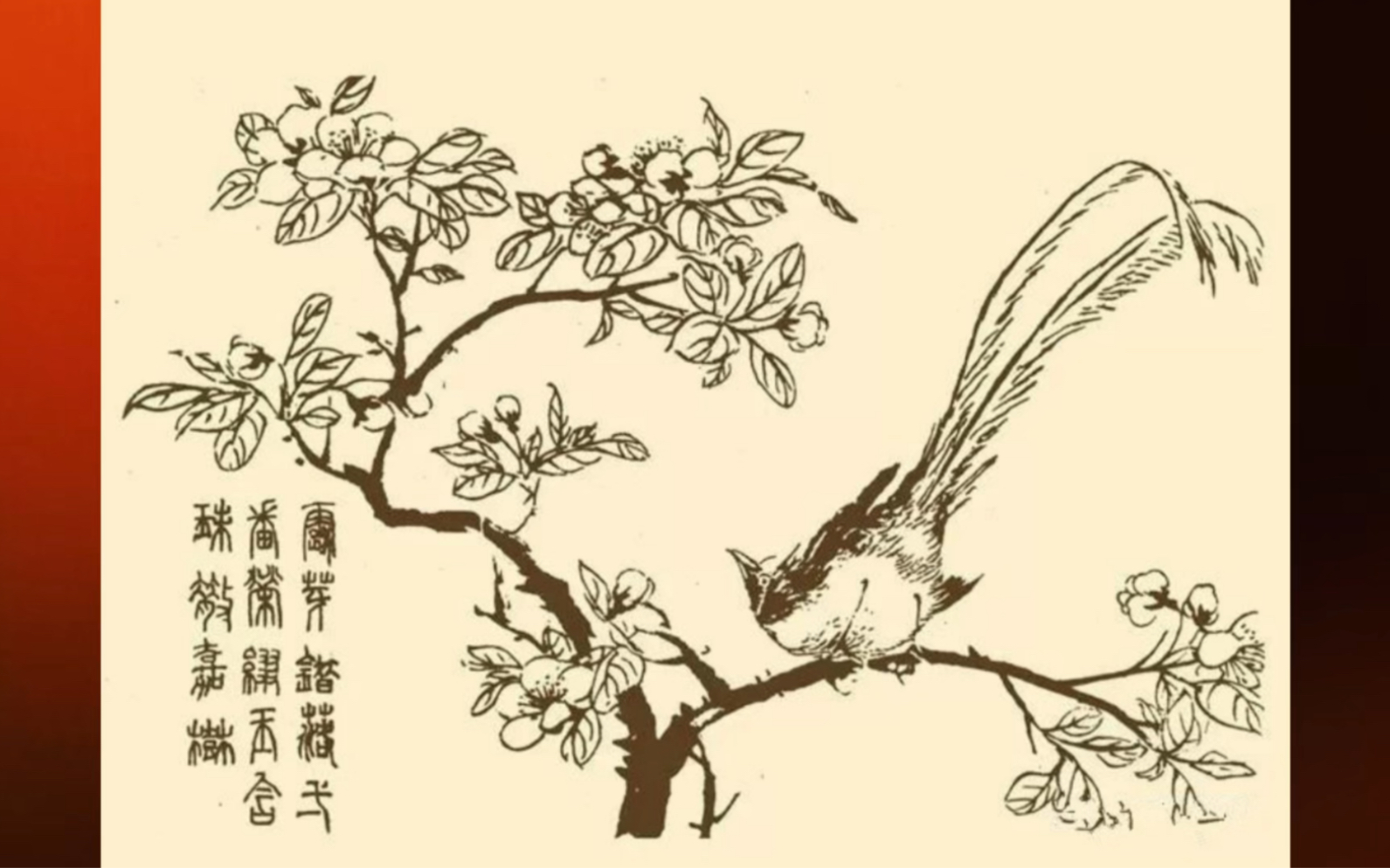 中国画秘诀《芥子园画谱》中的画鸟技法