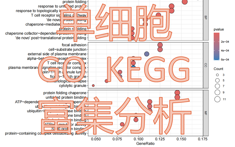 18. 手把手教学单细胞GO和KEGG富集分析,单细胞数据分析哔哩哔哩bilibili