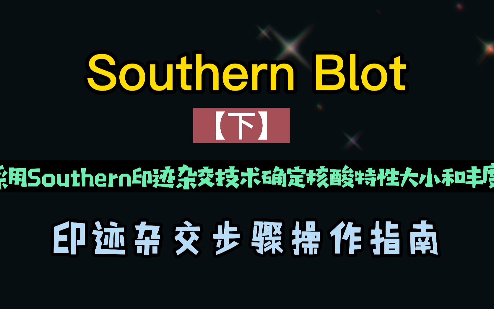 Southern印迹杂交技术操作流程(下)集哔哩哔哩bilibili