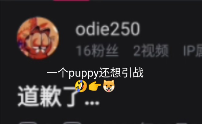 odie250原来是只puppy𐟑‰哔哩哔哩bilibili