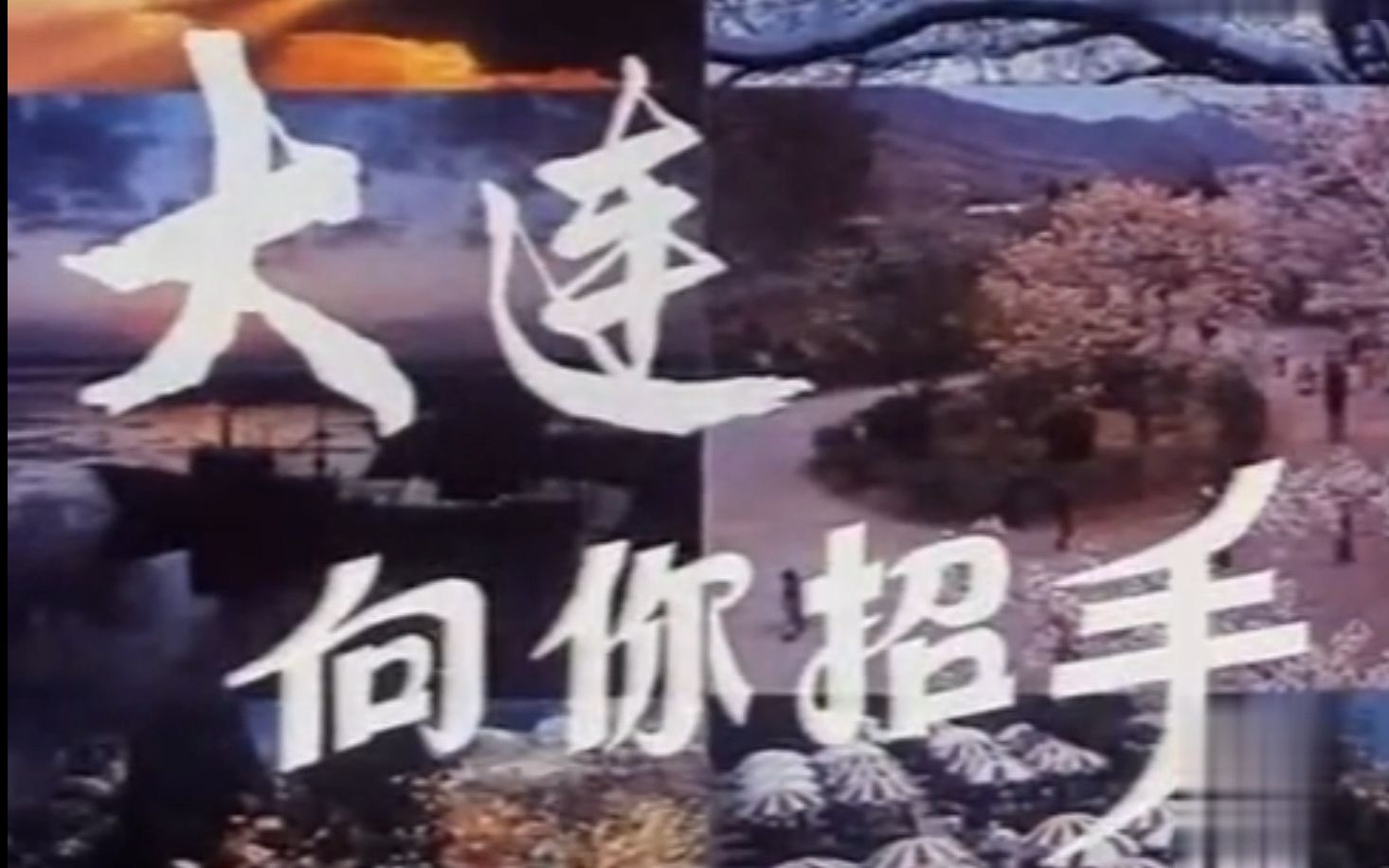 【老大连影像】1991年纪录片《大连向你招手》(字幕版)哔哩哔哩bilibili