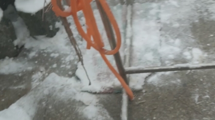 [图]这！破！雪！