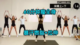 下载视频: 60分钟瘦全身合集，暴汗燃脂+拉伸！巨掉秤！