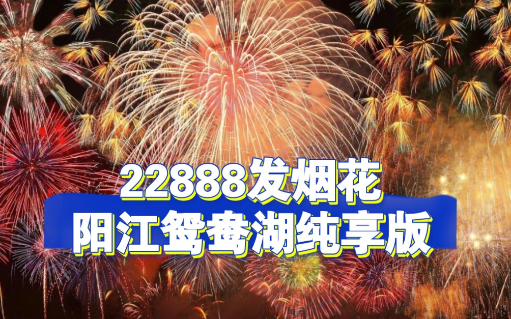 22888发烟花纯享版【阳江2024鸳鸯湖】哔哩哔哩bilibili