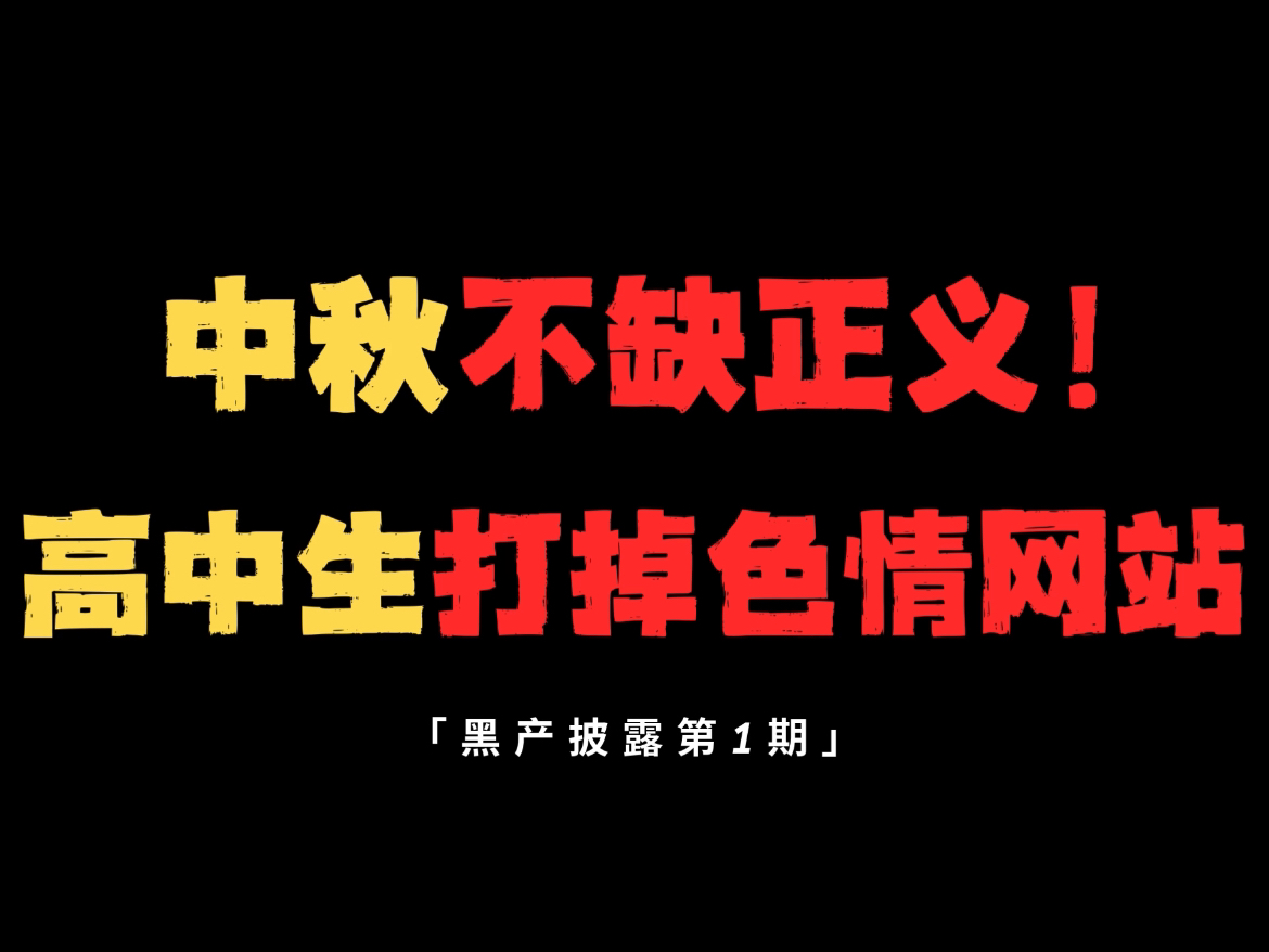 《中秋缺月饼,不缺正义!看高中生如何扳倒色情网站》哔哩哔哩bilibili