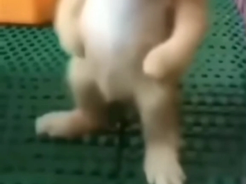过↗来↘～