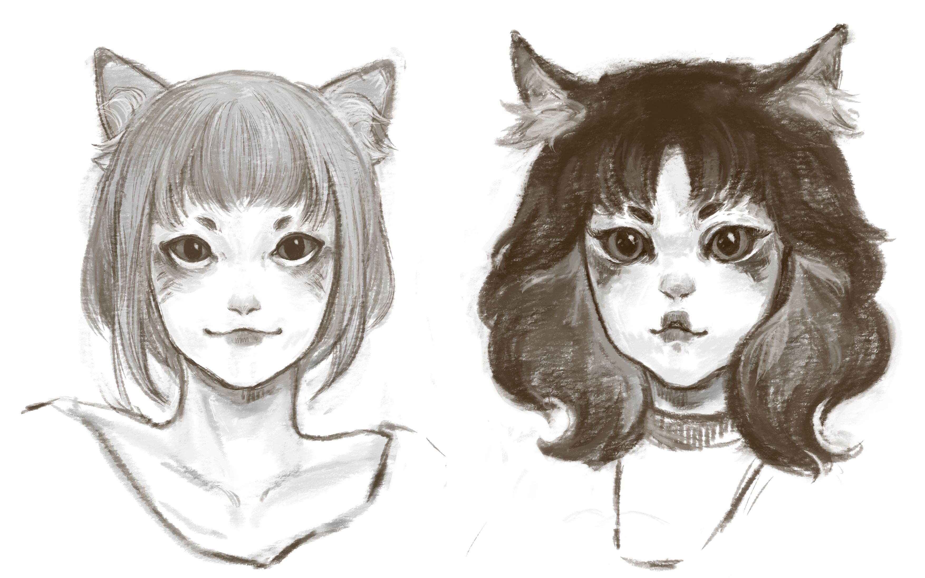 【绘画练习】两只猫猫拟人