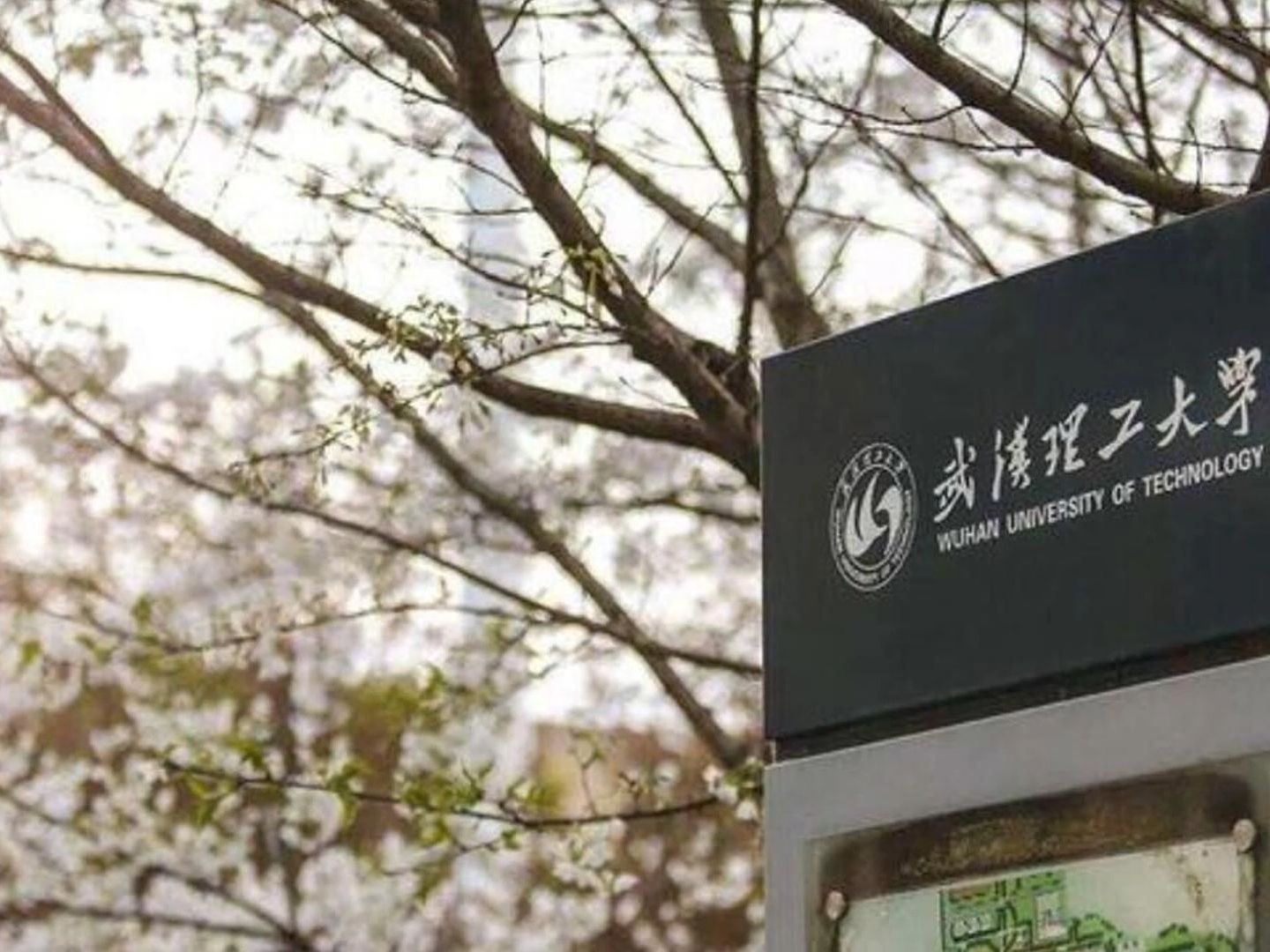 【武理855信息工程学院复试指南】加油哥武汉理工大学复试哔哩哔哩bilibili