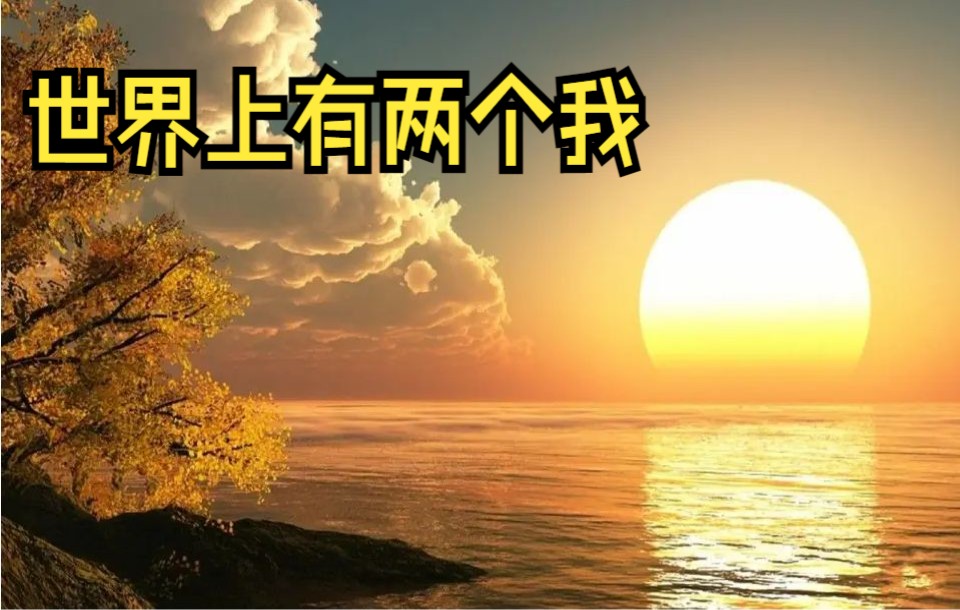 孙天宇世界上有两个我哔哩哔哩bilibili