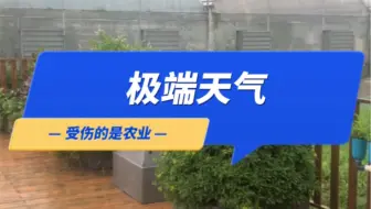 极端天气的影响不只有出行，还有农作物的生长，导致减产甚至绝收。#极端天气 #智慧农业 #我的小菜园