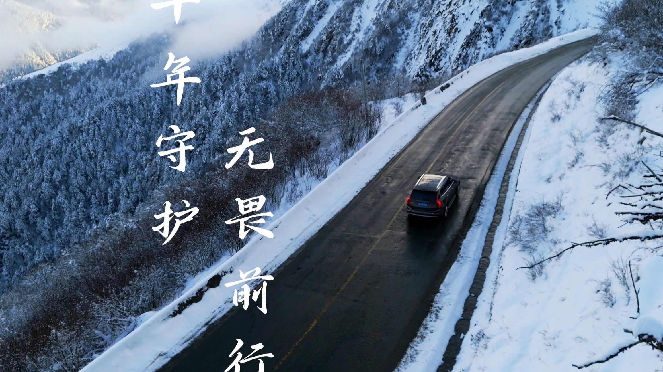 十年守护,无畏前行
