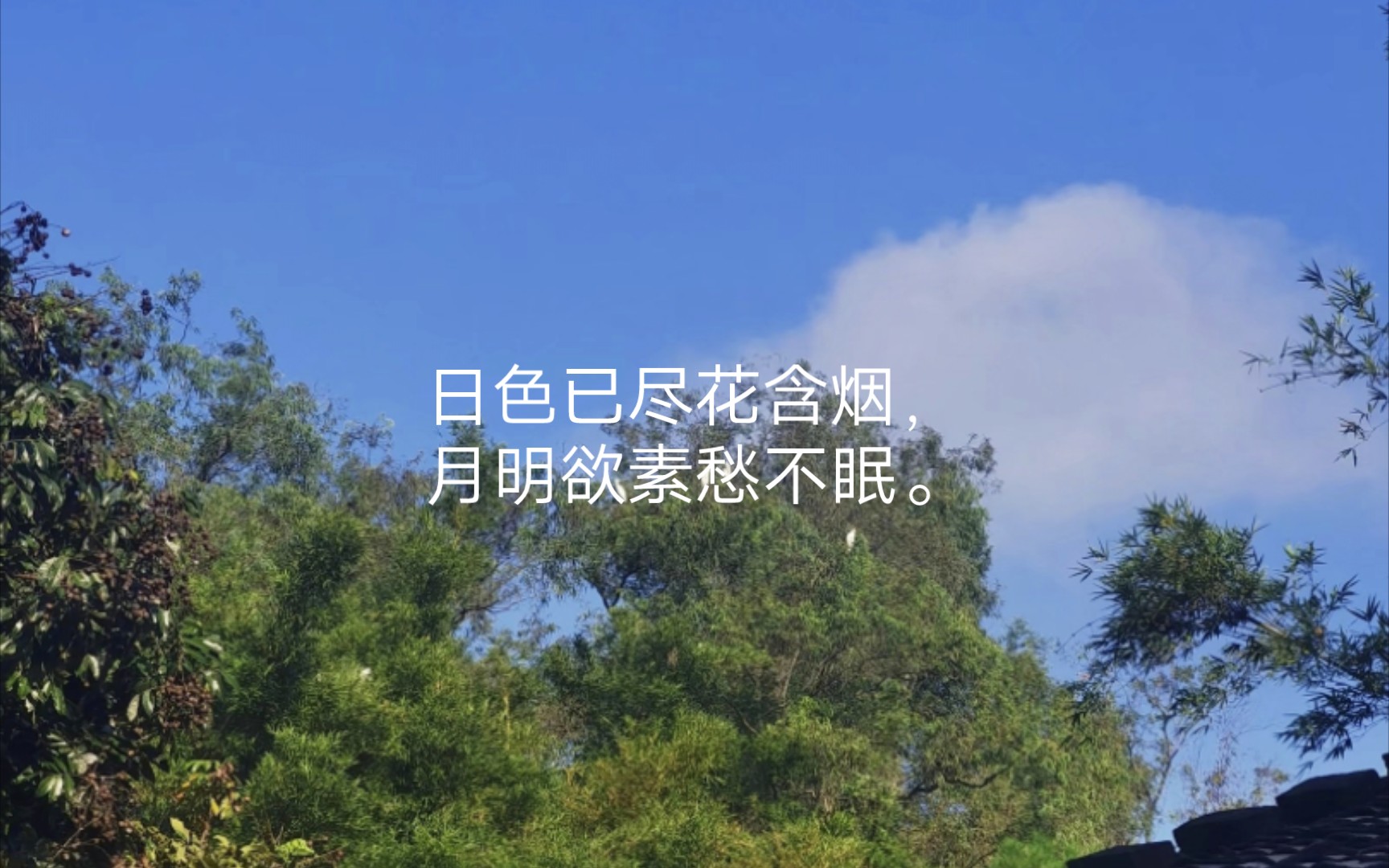 [图]唐诗三百首(长相思·其二[唐代]李白)