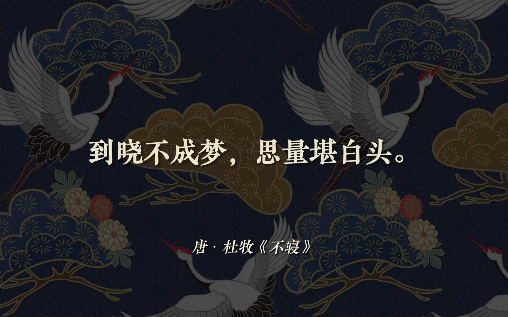 《 诗 人 失 眠 图 鉴 》哔哩哔哩bilibili