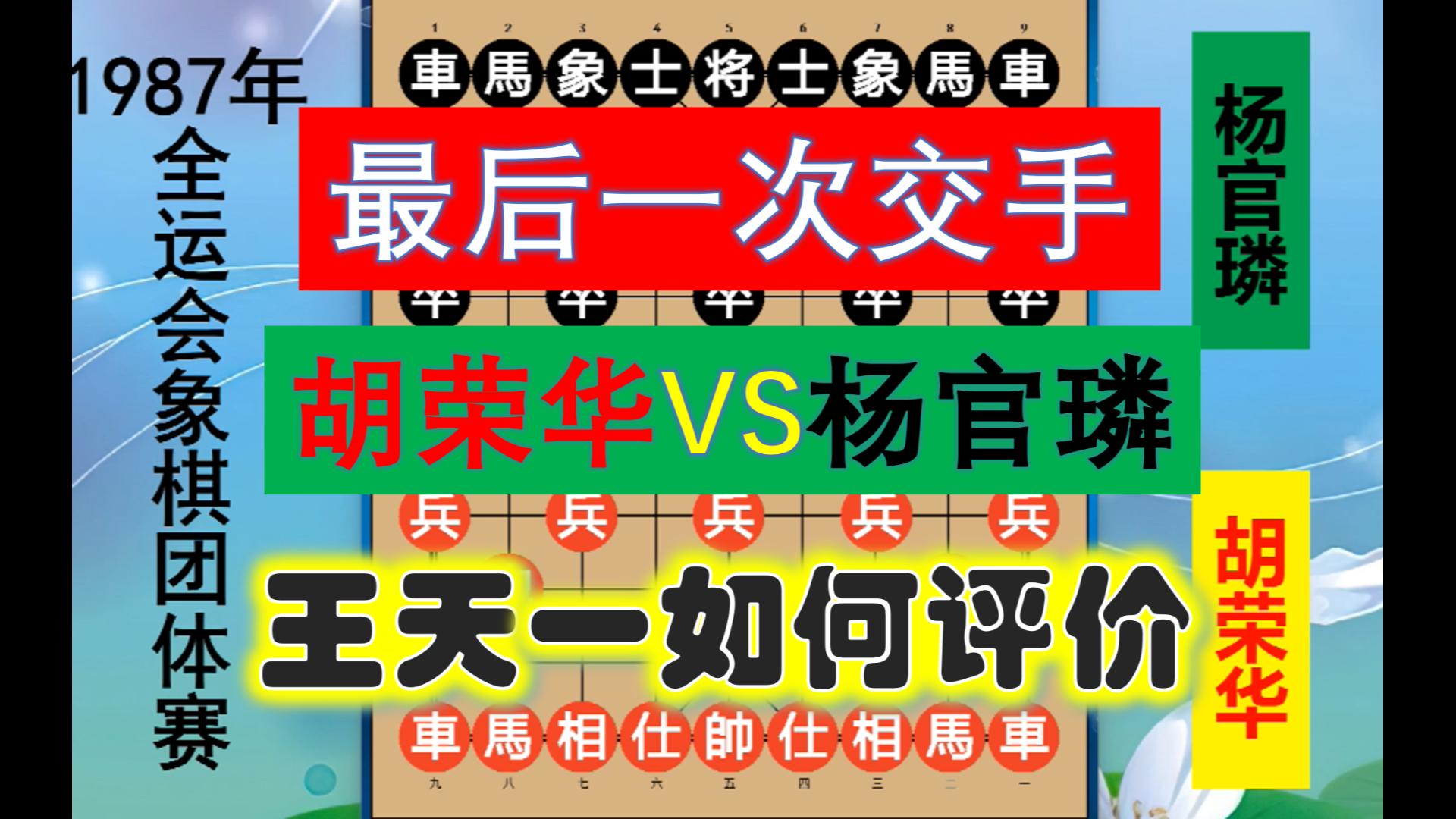 王天一如何评价杨官璘胡荣华?两位宗师最后一次交手,弥足珍贵!哔哩哔哩bilibili