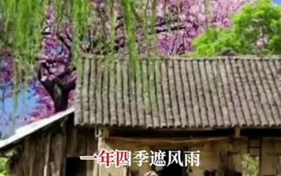 新歌!非常好听的一首亲情歌曲哔哩哔哩bilibili