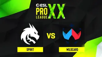 Télécharger la video: EPL S20 Wildcard 对阵 Spirit